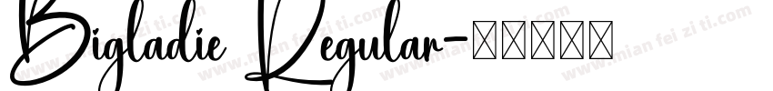Bigladie Regular字体转换
